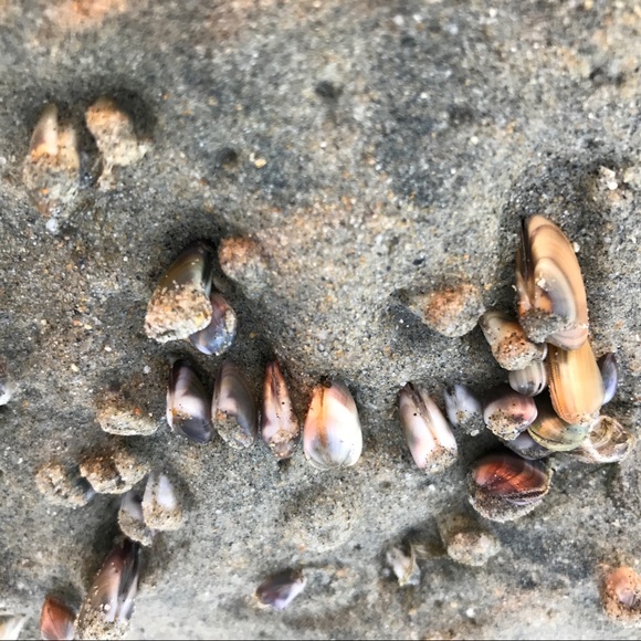 Meet your Posher, Jane - Picture 2 of 6